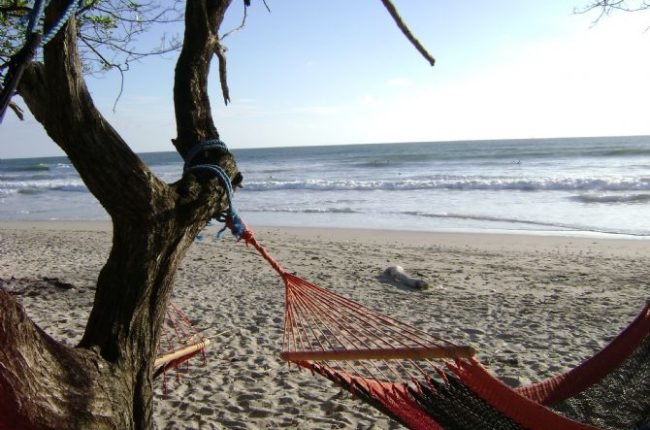desk-santa-teresa-hammock-surf