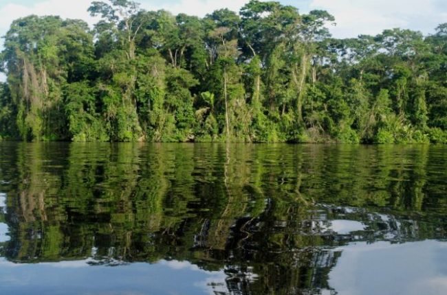 desk-tortuguero